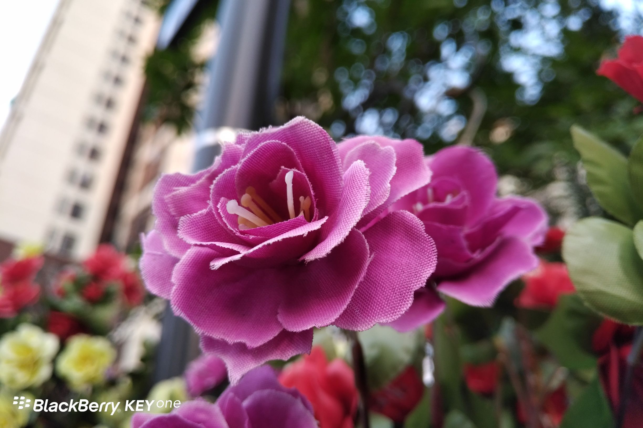 黑莓KeyOne国行上手评测：全键盘情怀的又一次升华