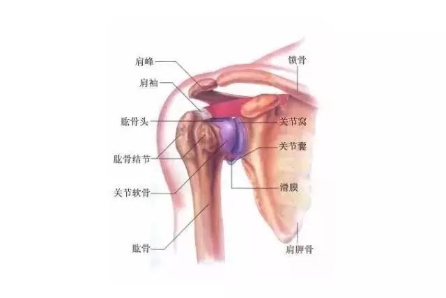 伏案工作怎么缓解颈背疼,长期伏案的人怎么缓解