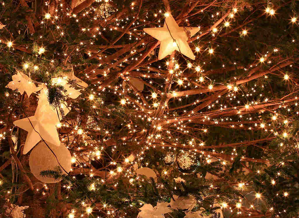 圣诞节必不可少的装饰品,圣诞节的装饰品