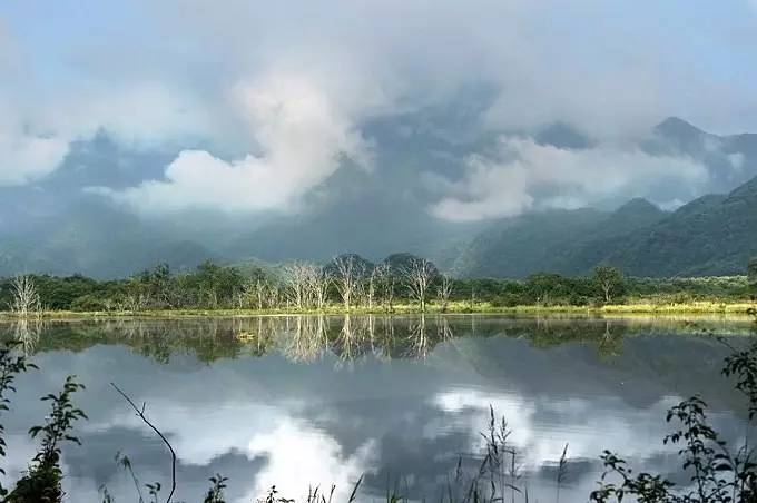 北纬30°神秘之境,在高山草甸、追逐鹿群,这里美的像天堂!