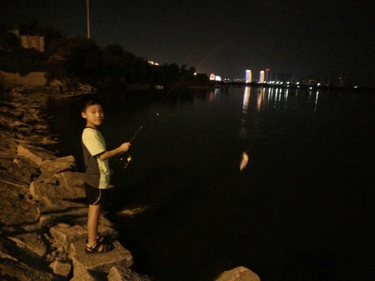 新手罗非鱼钓法,新手罗非鱼