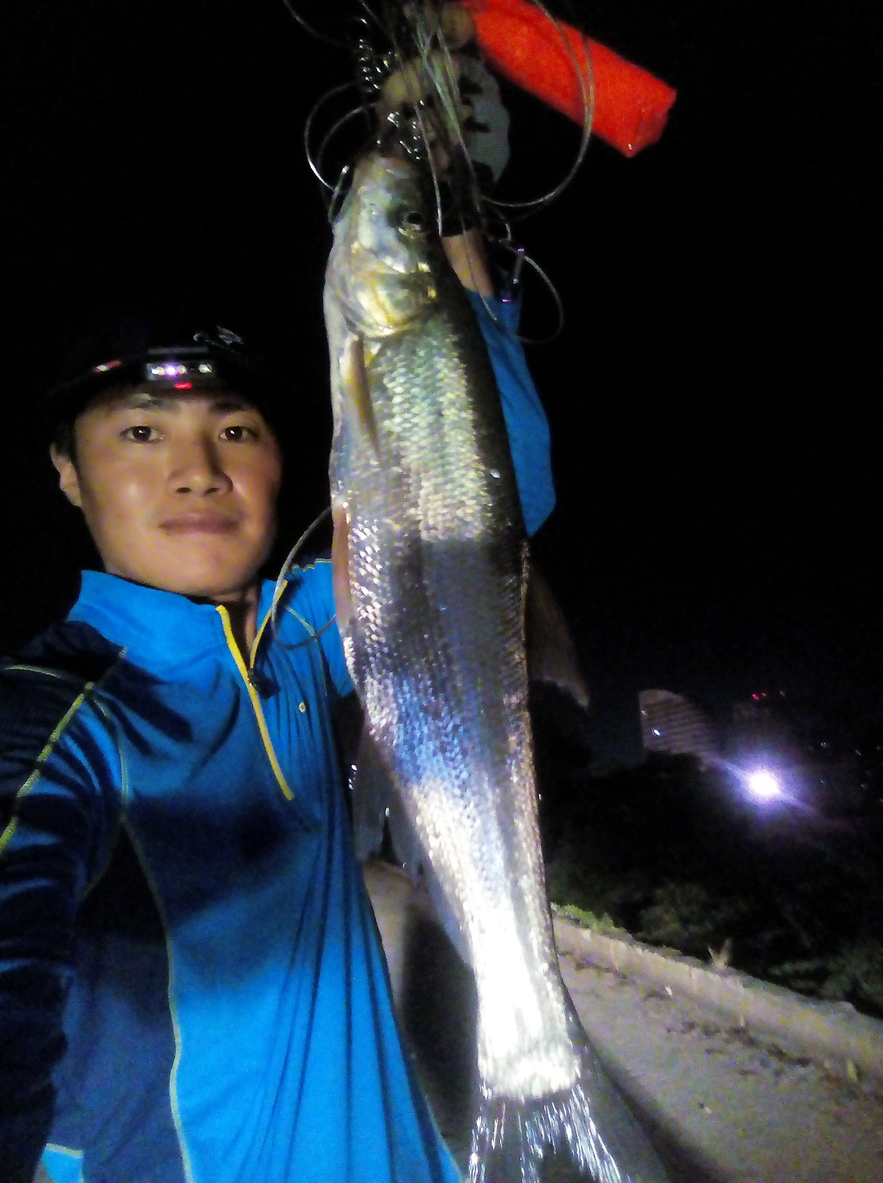 新手罗非鱼钓法,新手罗非鱼