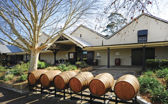 澳大利亚鲍鱼新西兰鲍鱼,澳大利亚顶级鲍鱼