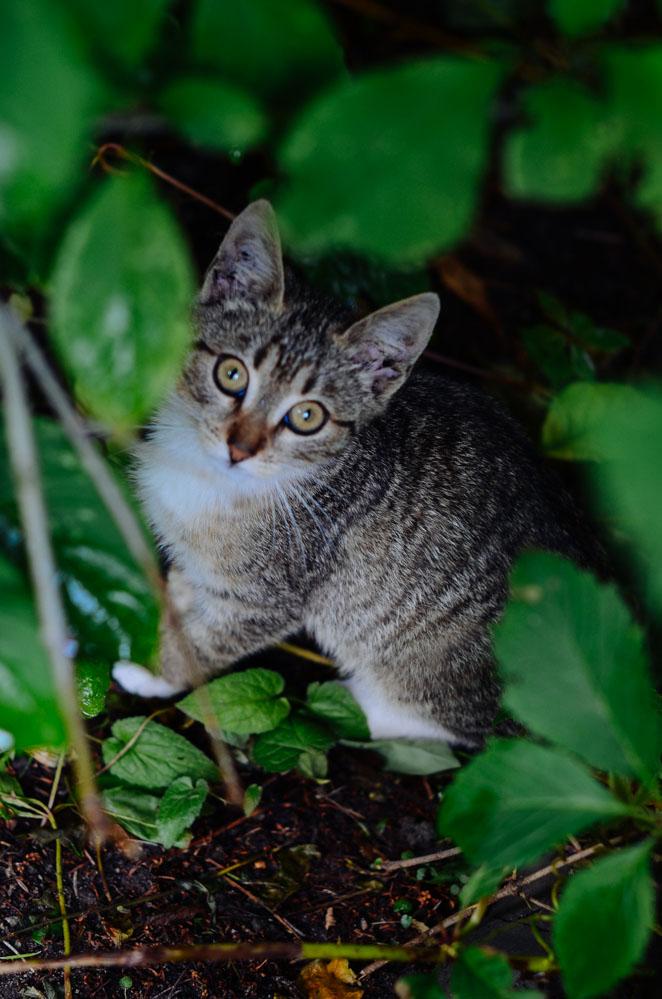 感受战斗民族日常,感受战斗民族的热情