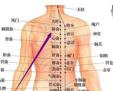 支气管炎哮喘的针灸治疗,董氏哮喘针灸的特效穴位