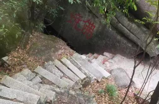 花如此多娇,花都如此多娇全文免费阅读