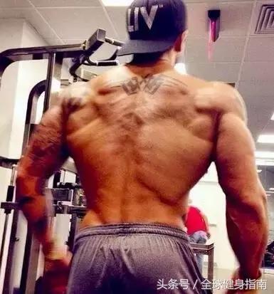 增肌粉肌酸套装六星,肌酸是增肌神器