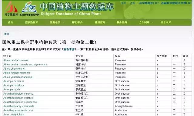 北方室外过冬的盆景对节白蜡盆景,小叶女贞和对节白蜡哪个适合盆景