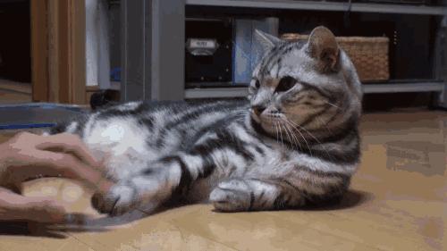 口红界的爱马仕,口红界爱马仕萝卜丁