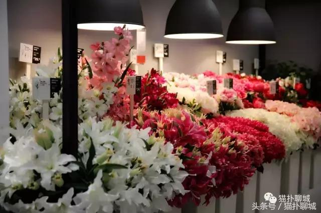 驱车百公里带聊城网友感受济南宜家的魅力，现场火爆商品抢购一空