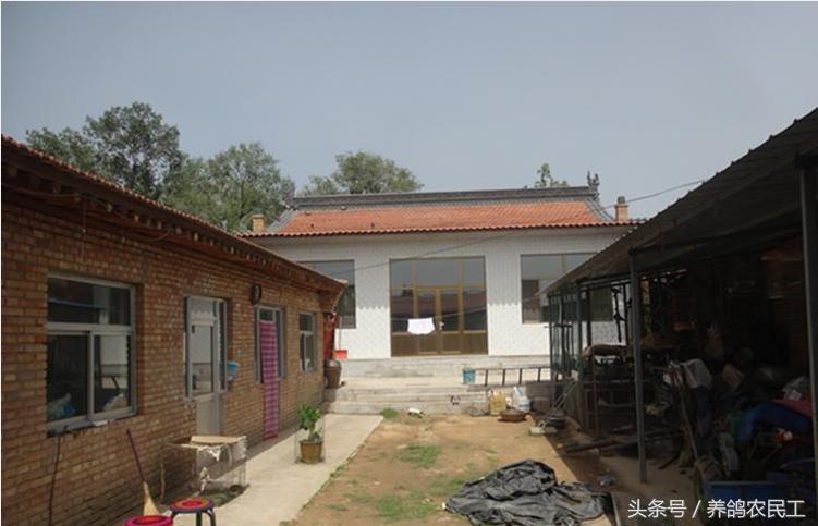 养鸽农民工探访资深鸽友，毫无保留的倾囊相授信鸽可以这样玩！