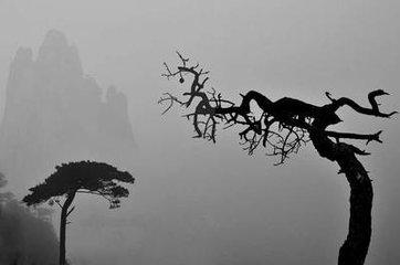 风水大师讲解葬地,风水葬地