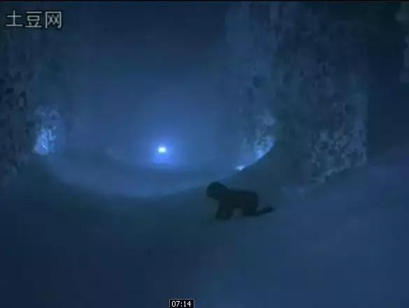 恐怖电影闪灵医生,恐怖电影闪灵2解说完整版