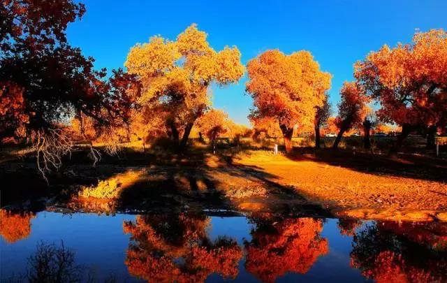 川西最美秋景,四川最美秋景