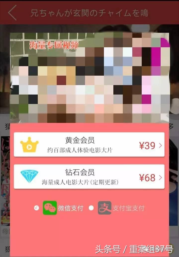 揭秘涉黄APP*局骗**：20秒小电影作幌，骗会员充值日入百万元