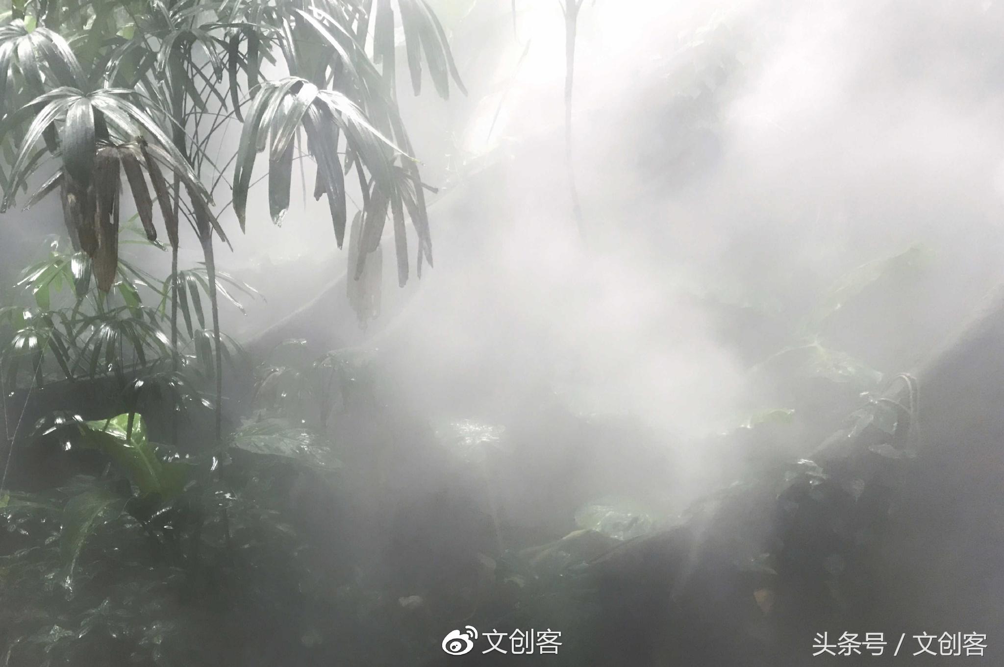 深圳青青世界累吗,深圳青青世界夏天热吗