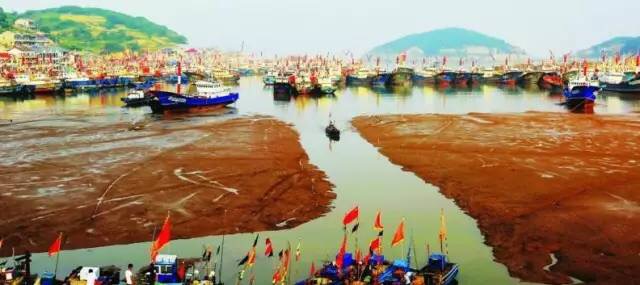 浙江小渔村自驾,浙江小众但绝美的古村