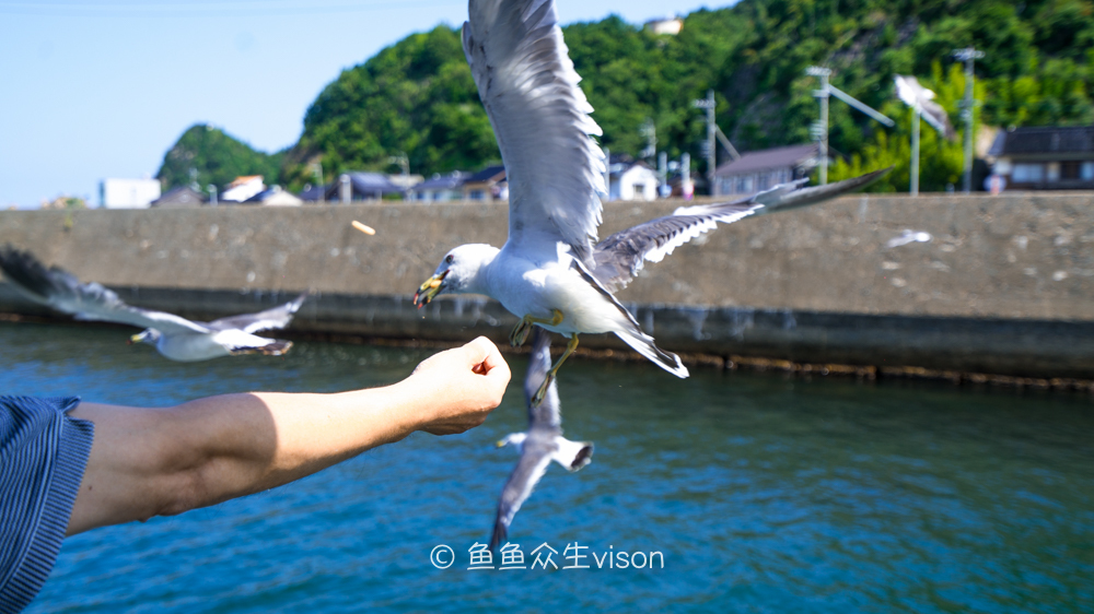 日本东京大阪最值得去的地方,日本大阪深度游攻略