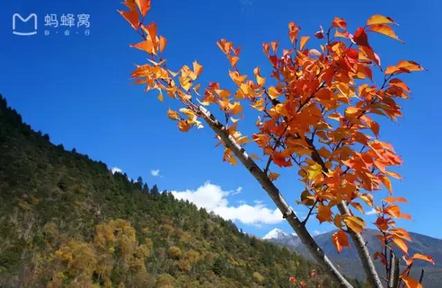 川西最美秋景,四川最美秋景