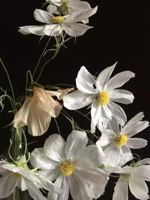 会枯萎腐烂的仿真花,会枯萎的花有什么