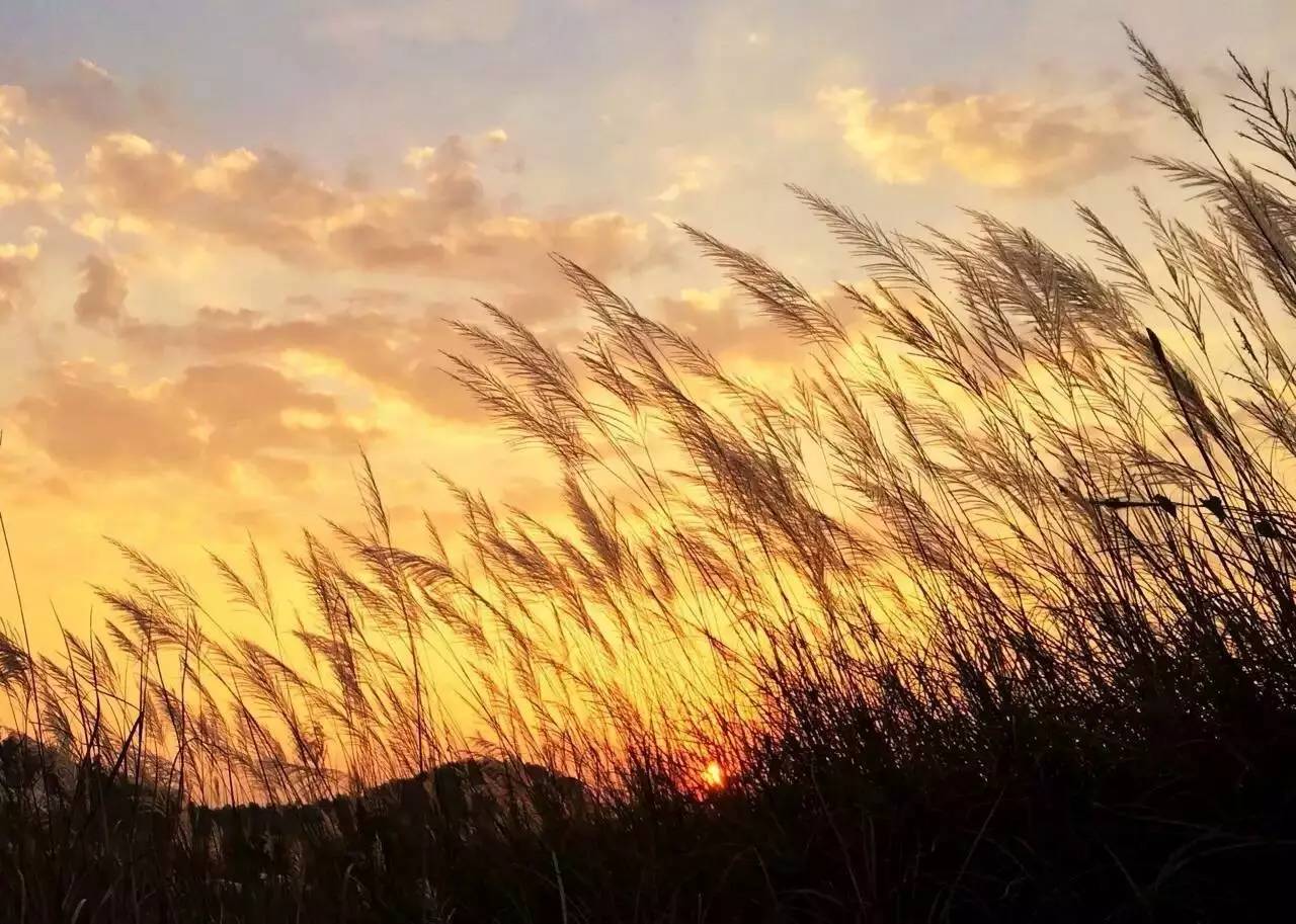 你好！我的名字叫惠州，这是我的名片