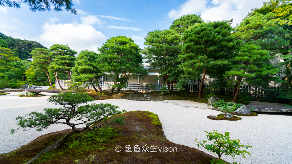 日本东京大阪最值得去的地方,日本大阪深度游攻略