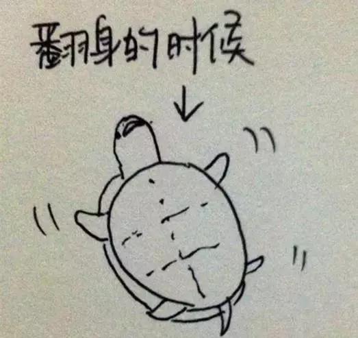 孕晚期最尴尬的几件事,孕晚期孕妈症状