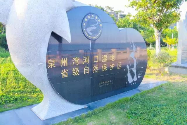 未来东海发展潜力,未来的东海岛怎样