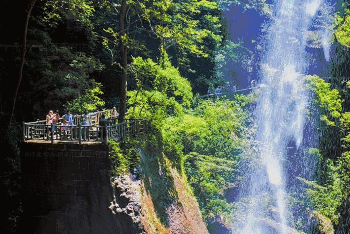 四川长宁竹海与赤水竹海,竹海风景区沐川