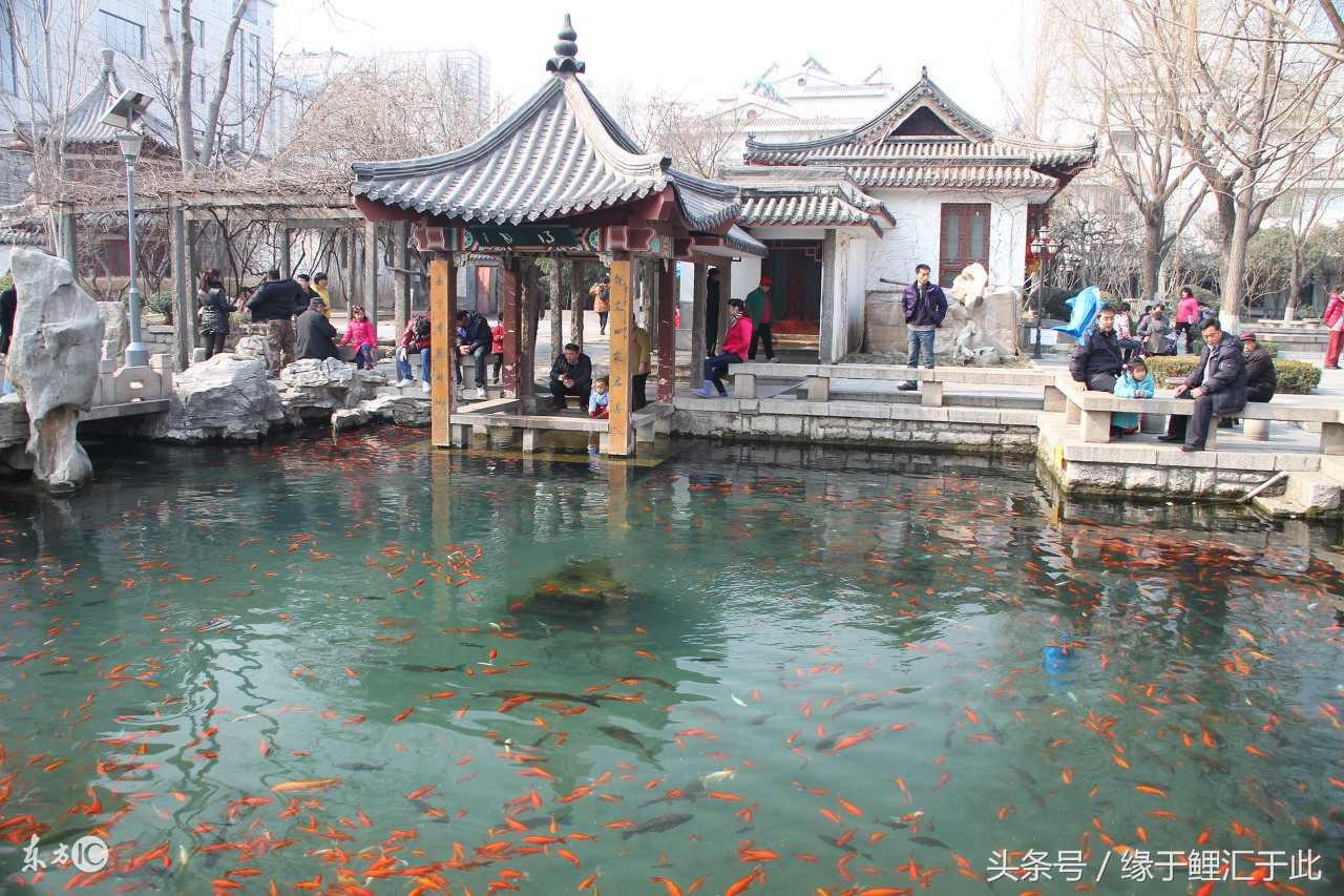 鱼缸腥臭怎么处理,鱼缸水浑浊怎么办