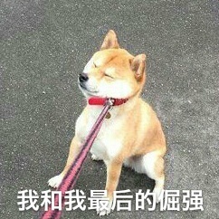 好东西不排队怎么可能买得着？队排越长，我心越荡