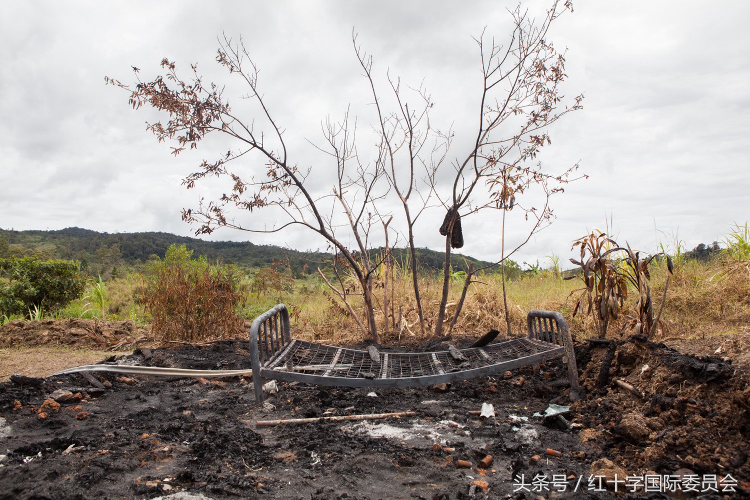 巴布亚新几内亚：从长矛到半自动步枪，你对这个国家了解多少？