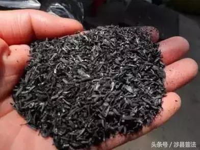 不用买营养土，这些“料”选一样加到花盆里，花大色艳叶片绿油油