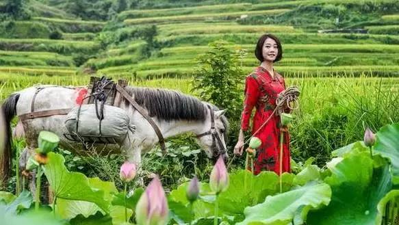 世界上有两个苦难的民族苗族,苗族是一个世界性民族