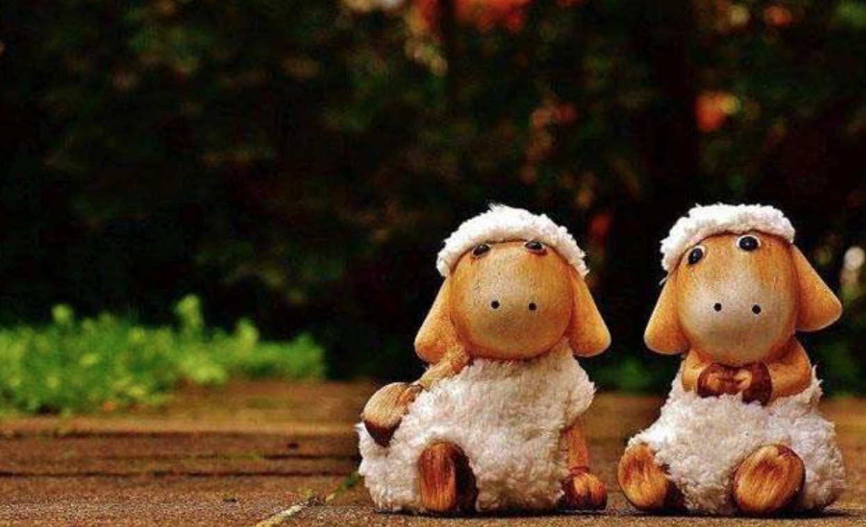 羊毛聚集地平台,羊毛聚集地