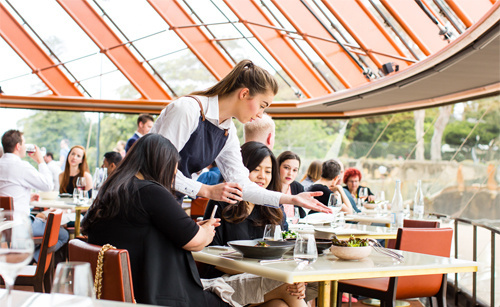澳大利亚鲍鱼新西兰鲍鱼,澳大利亚顶级鲍鱼