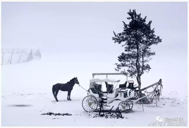 锦州市生态环境优化,你不能错过