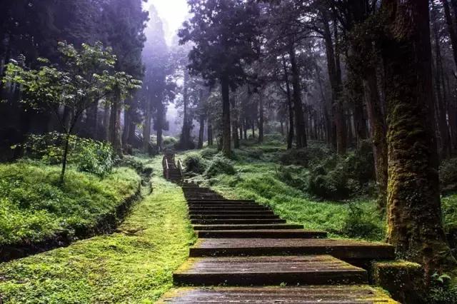 和龙夏天避暑的地方,龙州县避暑胜地