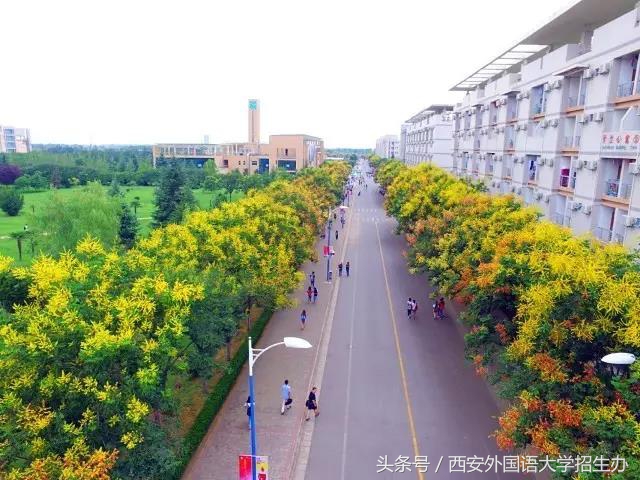 最人性大学：新生入学前选好用品，住在哪里自己决定
