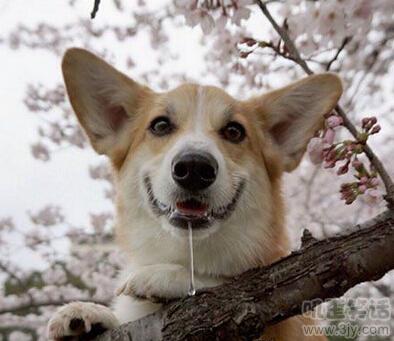 我跟老婆几个月每天以泪洗面，直到我当爸爸才恍然大悟