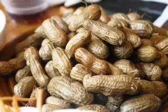 地里刚拔的花生,地里拔出来的新鲜花生吃了好吗