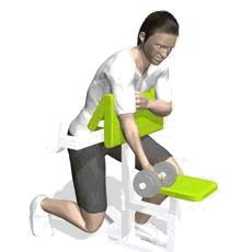 完美肱二头肌训练臂力棒,完美二头训练方法