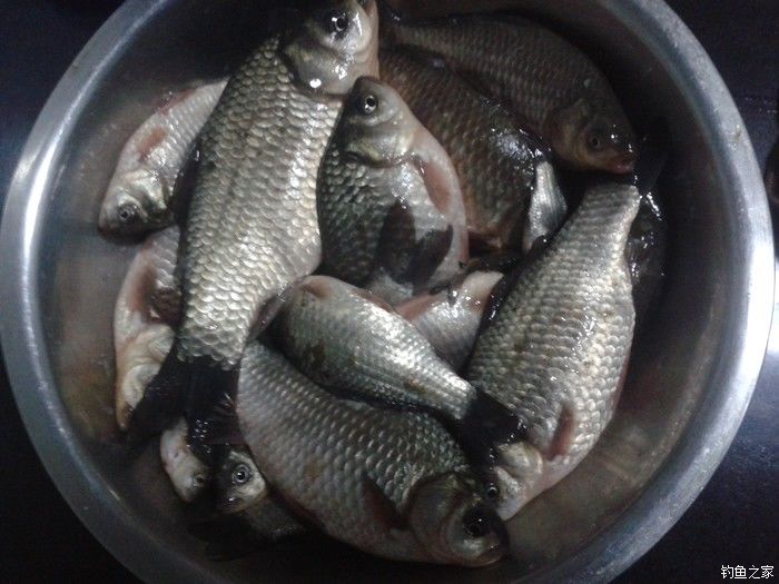 远征远征17,远征17-20