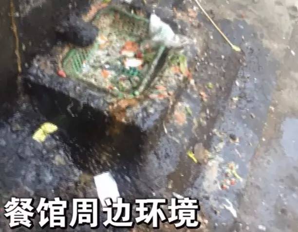 美团饿了吗发家史,美团饿了么网络崩溃