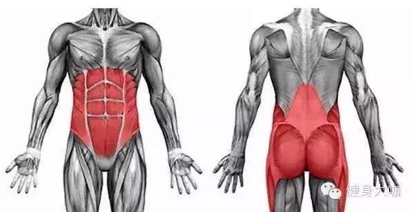 看完这篇文章的感悟,怎样跑步不伤膝盖看完这篇就够了