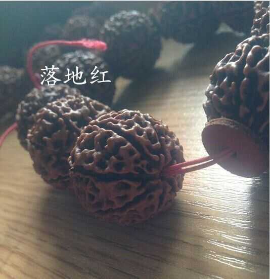 大金刚和落地红的区别在哪里,大金刚怎么辨别是不是落地红