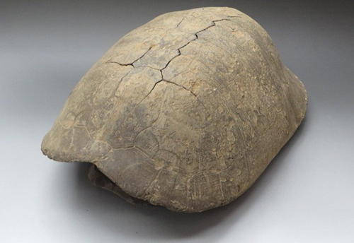 你分得清吗是梦还是现实,你分得清吗文字背景图