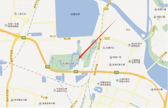 看樱花何必去远方,天津水上公园神户园樱花