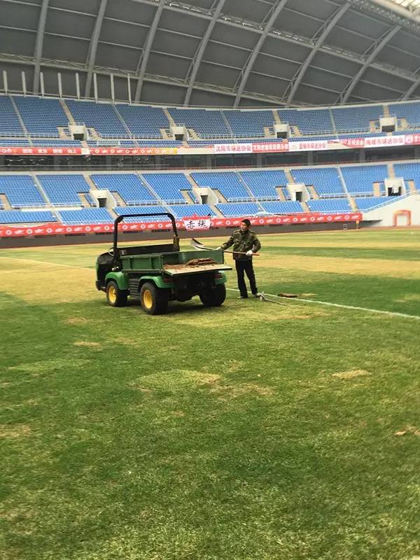 玉面郎君张玉宁照片,辽足玉面杀手张玉宁近况