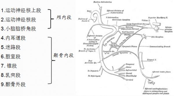 关于面瘫有哪些治疗方法,面瘫病因研究